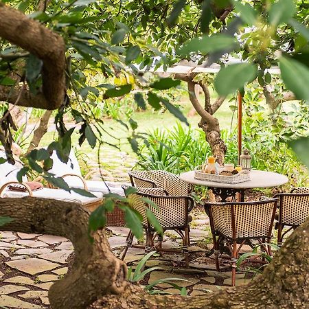 Homeforguest Cosy Rural Flat El Romero With Large Gardens Tacoronte Exteriér fotografie