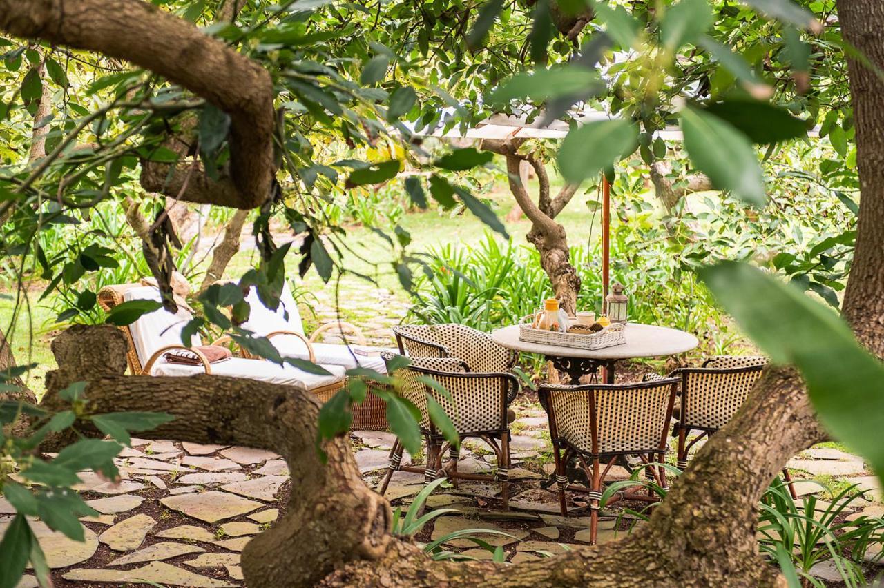 Homeforguest Cosy Rural Flat El Romero With Large Gardens Tacoronte Exteriér fotografie