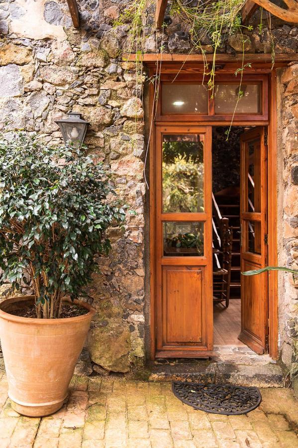 Homeforguest Cosy Rural Flat El Romero With Large Gardens Tacoronte Exteriér fotografie