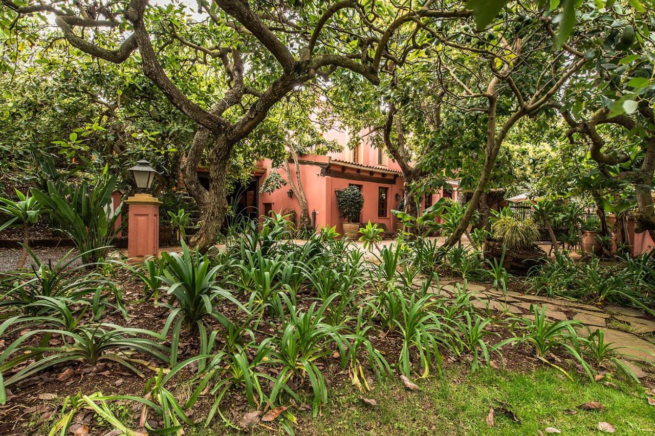 Homeforguest Cosy Rural Flat El Romero With Large Gardens Tacoronte Exteriér fotografie