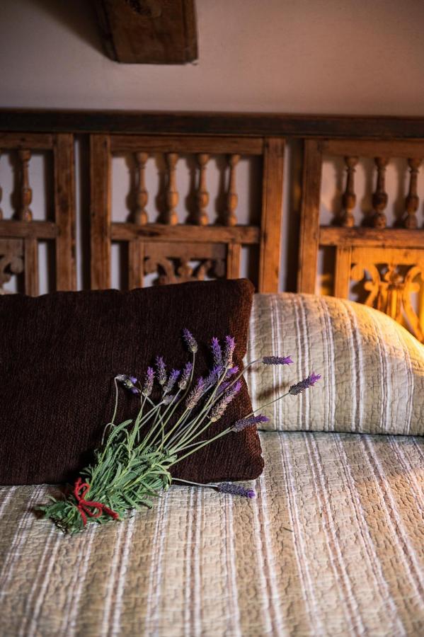 Homeforguest Cosy Rural Flat El Romero With Large Gardens Tacoronte Exteriér fotografie